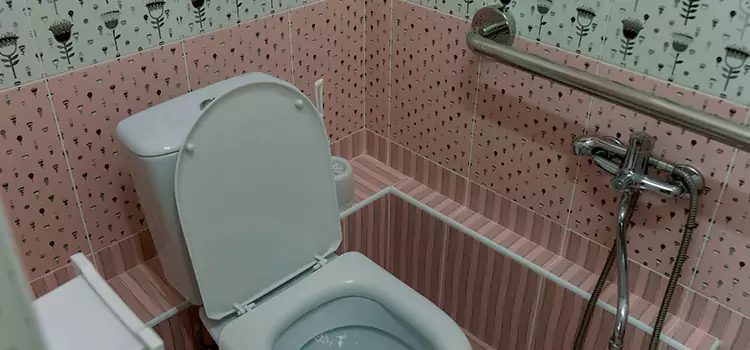 Meeting Diverse Needs With Accessible Restroom Solutions in Meadowvale, ON