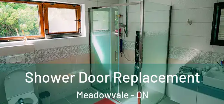 Shower Door Replacement Meadowvale - ON